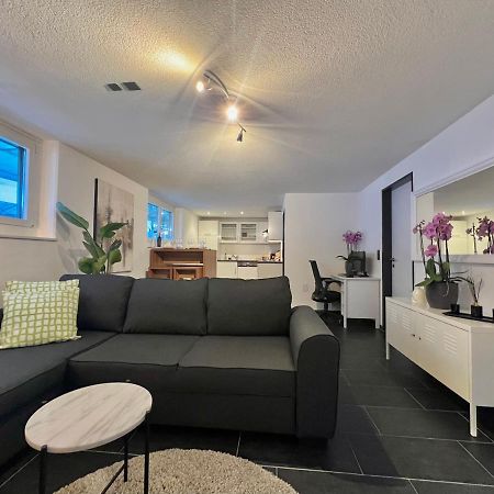 The R Apartment Froburg, Parking, Netflix, Golfplatz Obergosgen Kültér fotó
