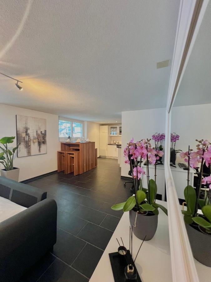 The R Apartment Froburg, Parking, Netflix, Golfplatz Obergosgen Kültér fotó