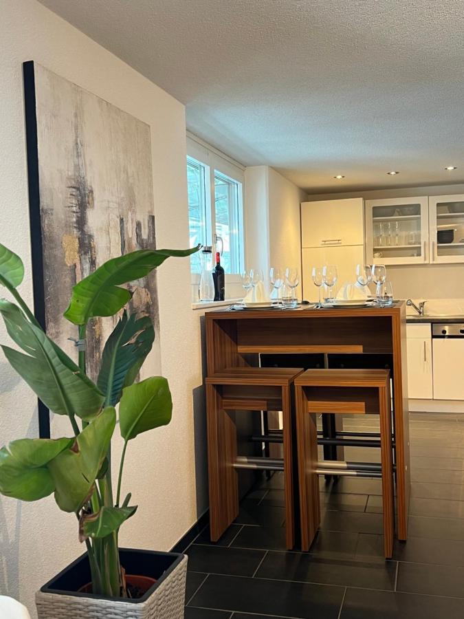 The R Apartment Froburg, Parking, Netflix, Golfplatz Obergosgen Kültér fotó
