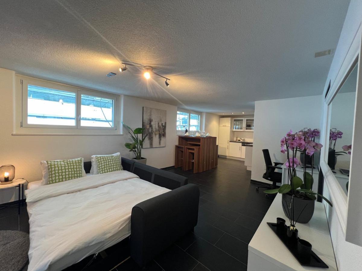 The R Apartment Froburg, Parking, Netflix, Golfplatz Obergosgen Kültér fotó